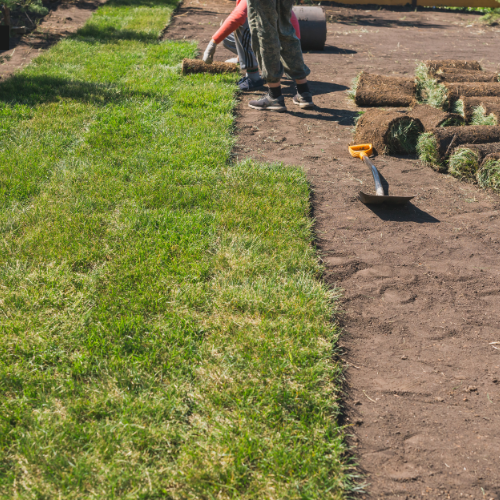 Sod installation in the Cedar Valley