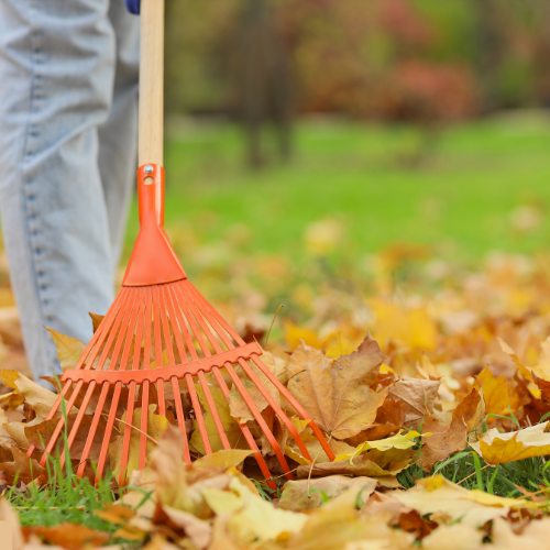 Fall cleanup services in Cedar Falls, IA